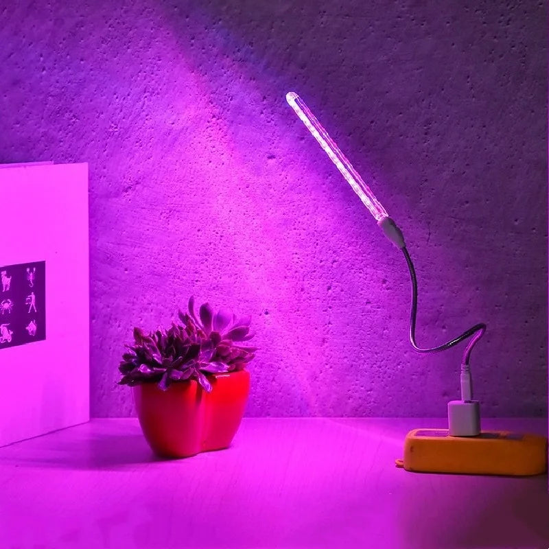 Portable Full Spectrum LED Grow Light — Red & Blue Phytolamp USB for Indoor Plants, Greenhouse, Vegetables & Hydroponics