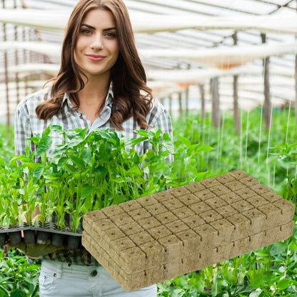 Stonewool Hydroponic Grow Cubes — 500/50x Seedling Blocks for Garden Germination & Water Cultivation