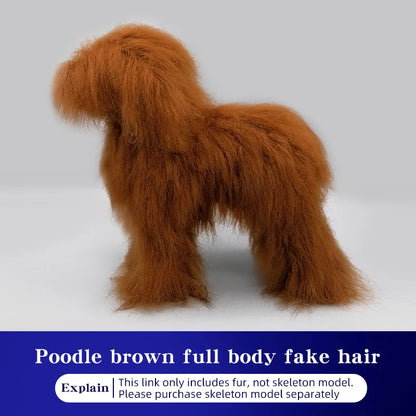 Pet Grooming Practice Poodle Model — Full Body Simulation Dog Mannequin for Grooming Training