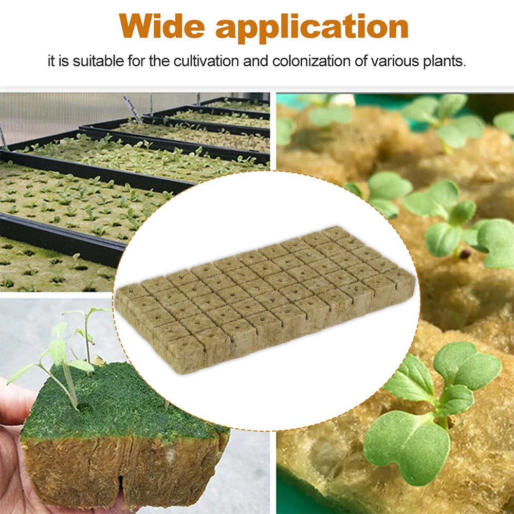 Stonewool Hydroponic Grow Cubes — 500/50x Seedling Blocks for Garden Germination & Water Cultivation