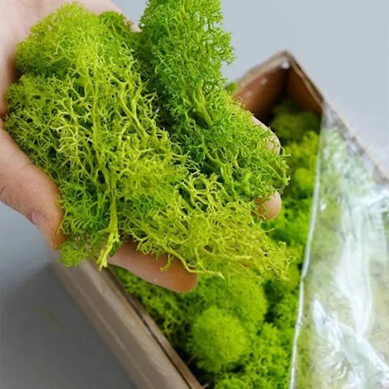 Artificial Green Plants for Eternal Life Moss DIY Crafts: Mini Landscape Fake Grass for Home, Room, and Garden Decor - Available in 20/40/100g