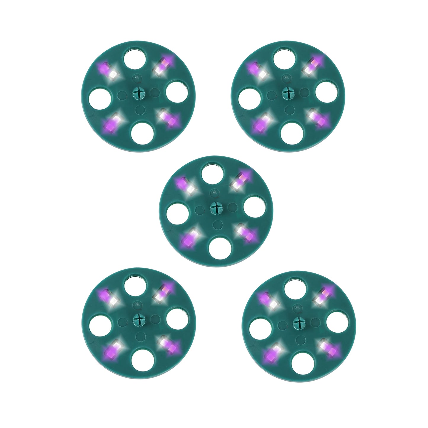 LED Grow Light with 6/12-Hole Seed Starter Trays — Indoor Plant Germination & Seedling Growing Box