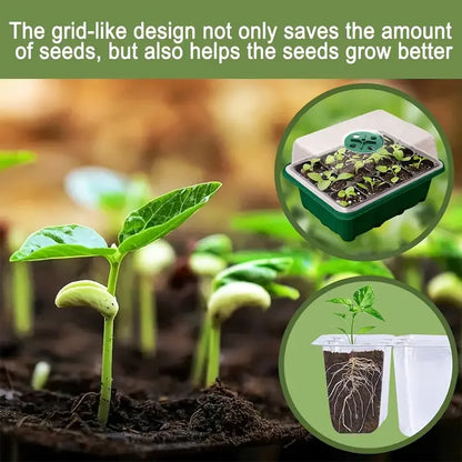 Green Seedling Pot — Multifunctional Planting & Transplanting Box for Gardening and Seedling Care