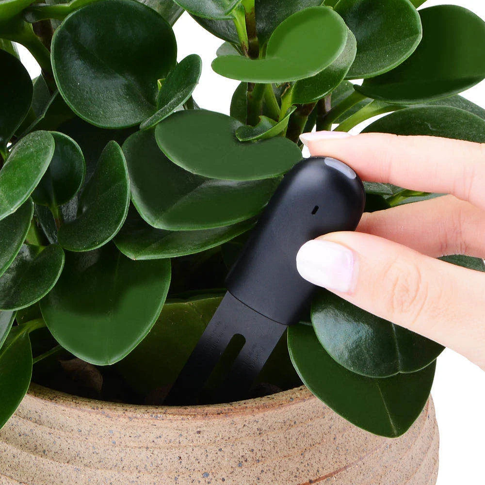 HHCC Flower Monitor – Smart Garden Care Sensor for Plants, Soil, Water & Fertility, Compatible with Xiaomi