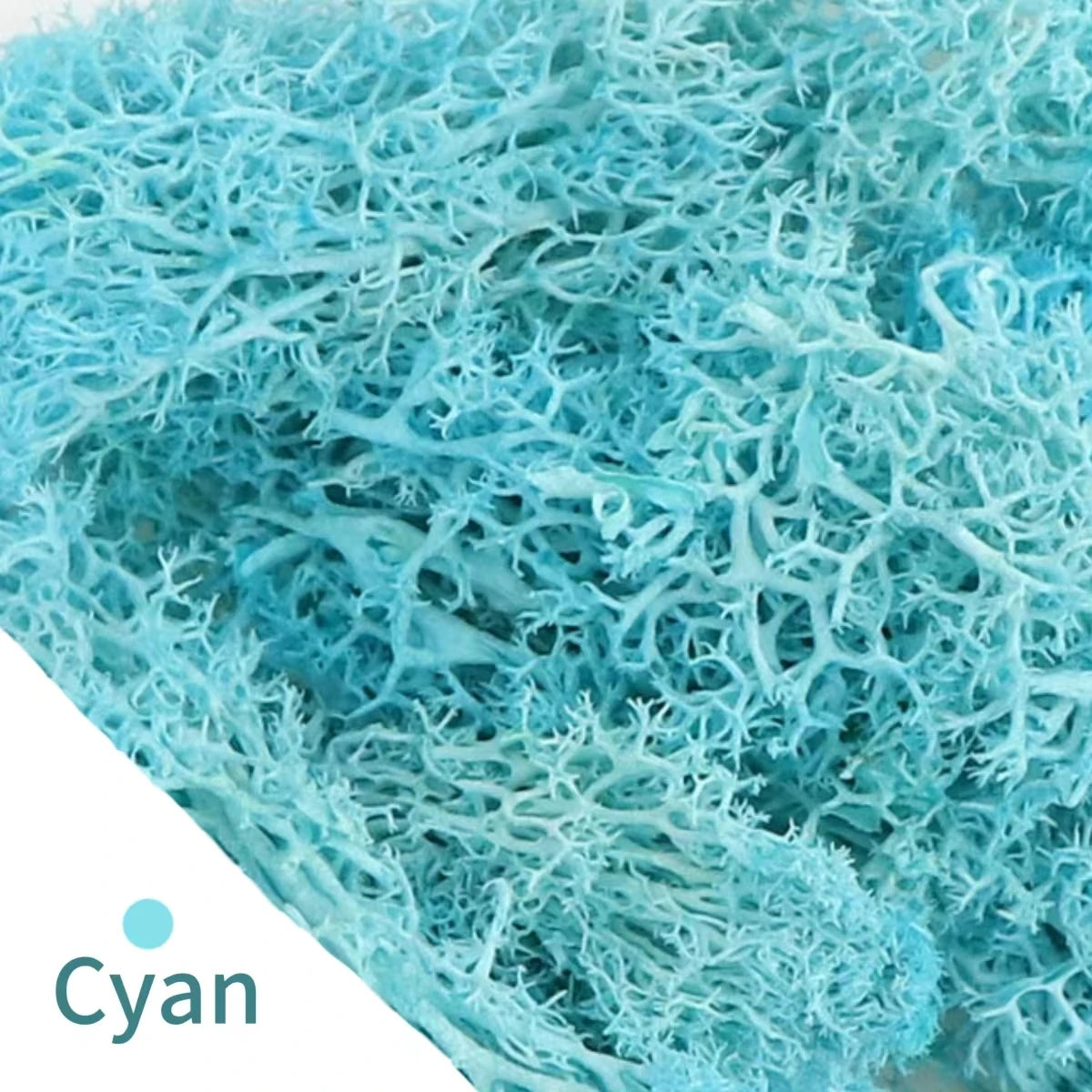 48640855408947|48640855474483|48640855671091