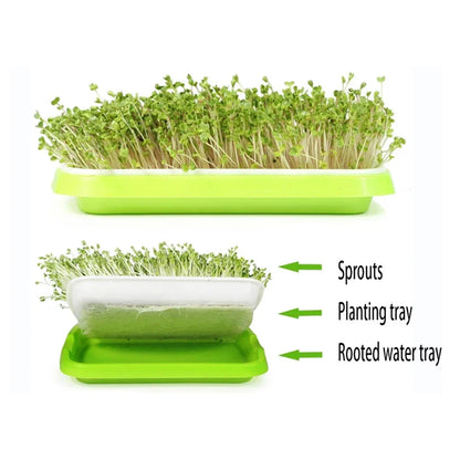 Microgreens Sprouter Tray — Hydroponic Sprouting Tray for Garden, Nursery & Potted Plants