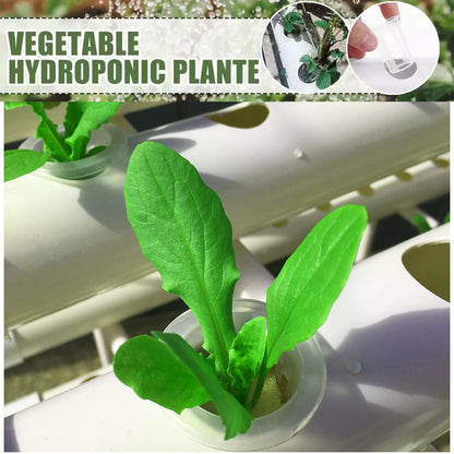 Hydroponics Growing System Kit — 3-Layer 108-Site PVC Pipe Hydroponic Garden for Vegetables & Herbs