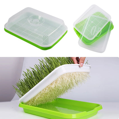 Seed Germination Tray – Seedling & Wheatgrass Planting Tray for Soilless Cultivation