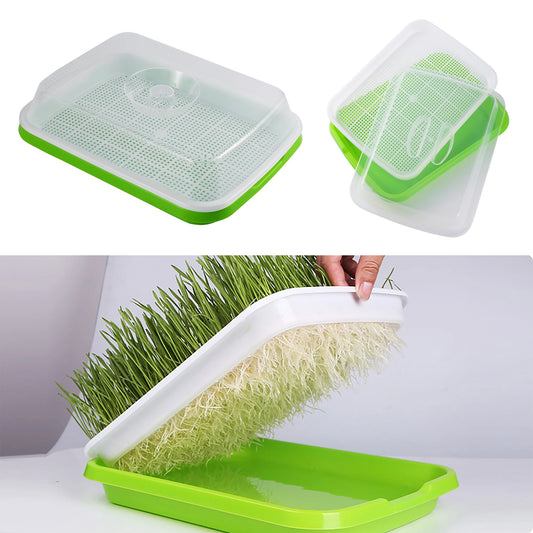 Seed Germination Tray – Seedling & Wheatgrass Planting Tray for Soilless Cultivation