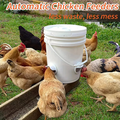 Automatic Gravity Chicken Feeder – DIY Rainproof Poultry Feeder with Food Hole Opener Tool to Reduce Spillage for Chickens & Ducks