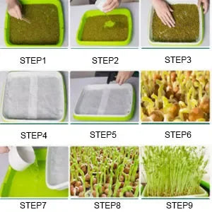 Microgreens Sprouter Tray — Hydroponic Sprouting Tray for Garden, Nursery & Potted Plants