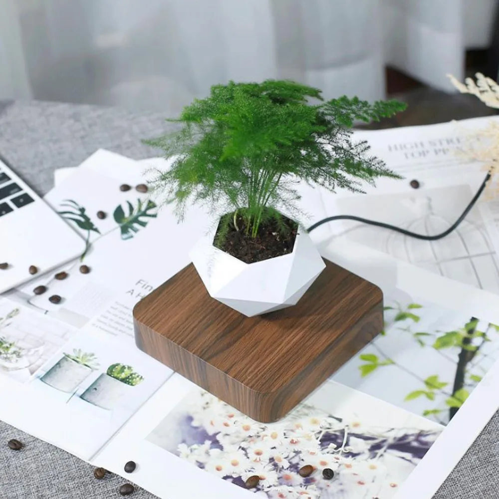 Levitating Air Bonsai Pot – Magnetic Floating Rotating Planter for Home Décor (Without Plants)