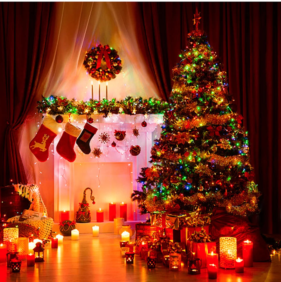 2025 LED Christmas & New Year Fairy String Lights — White/Warm/RGB Waterproof Party & Wedding Decoration