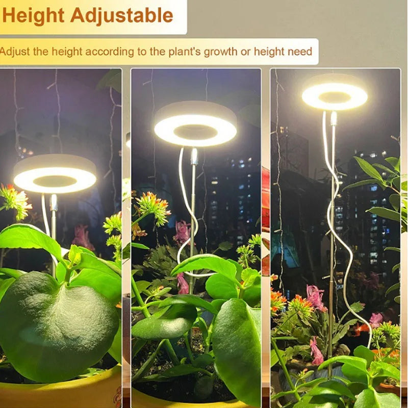 LED Full Spectrum Grow Light – Adjustable Dimmable Hydroponic Plant Lamp with Timer for Indoor Gardening