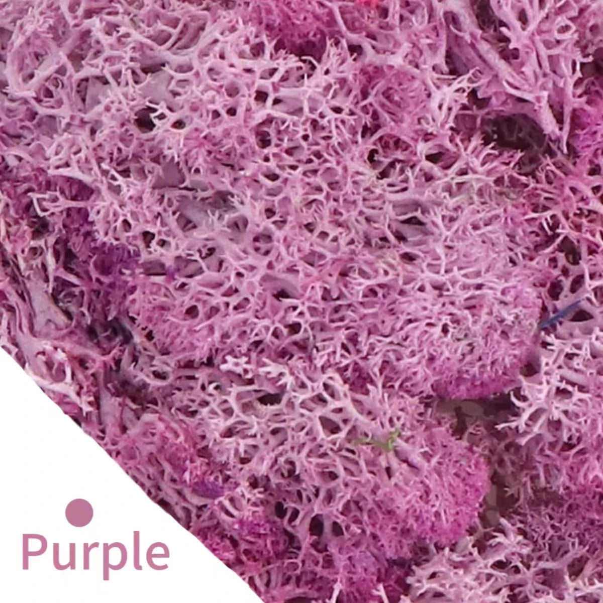 48640855834931|48640856064307|48640856129843