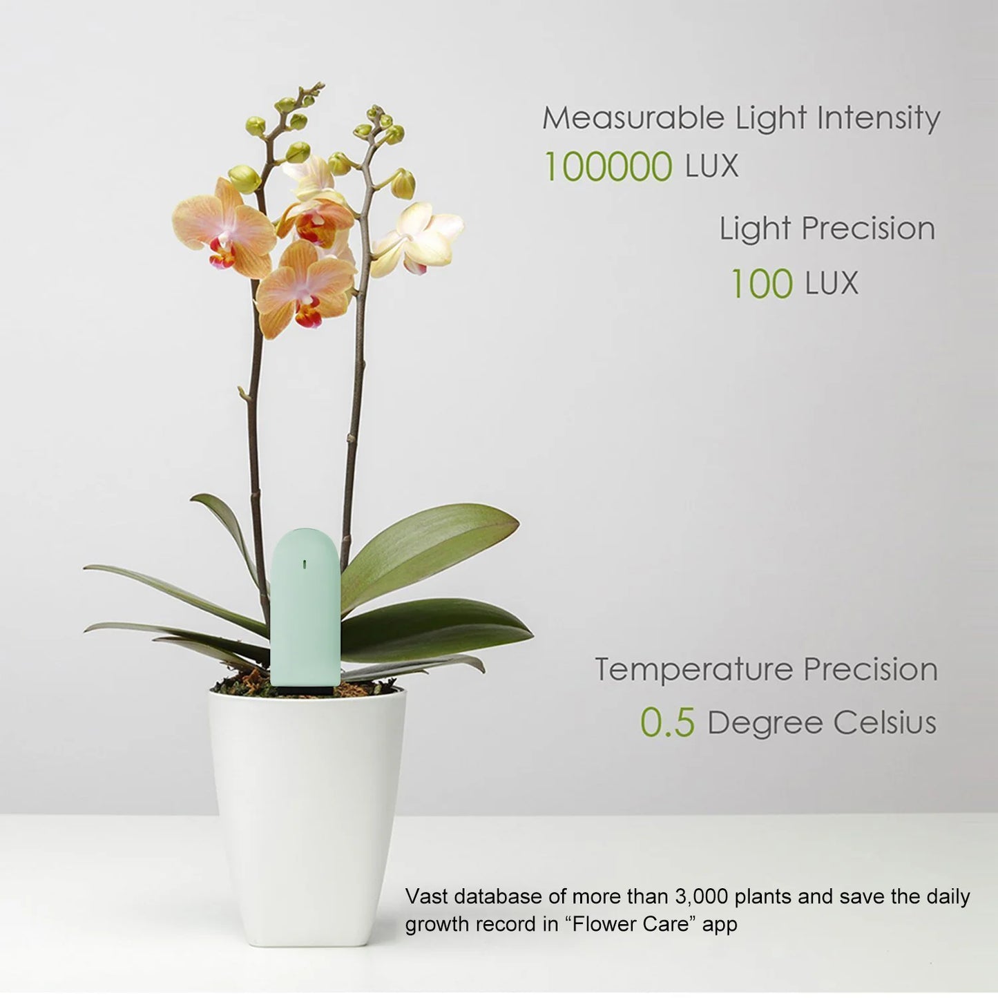 HHCC Flower Monitor – Smart Garden Care Sensor for Plants, Soil, Water & Fertility, Compatible with Xiaomi