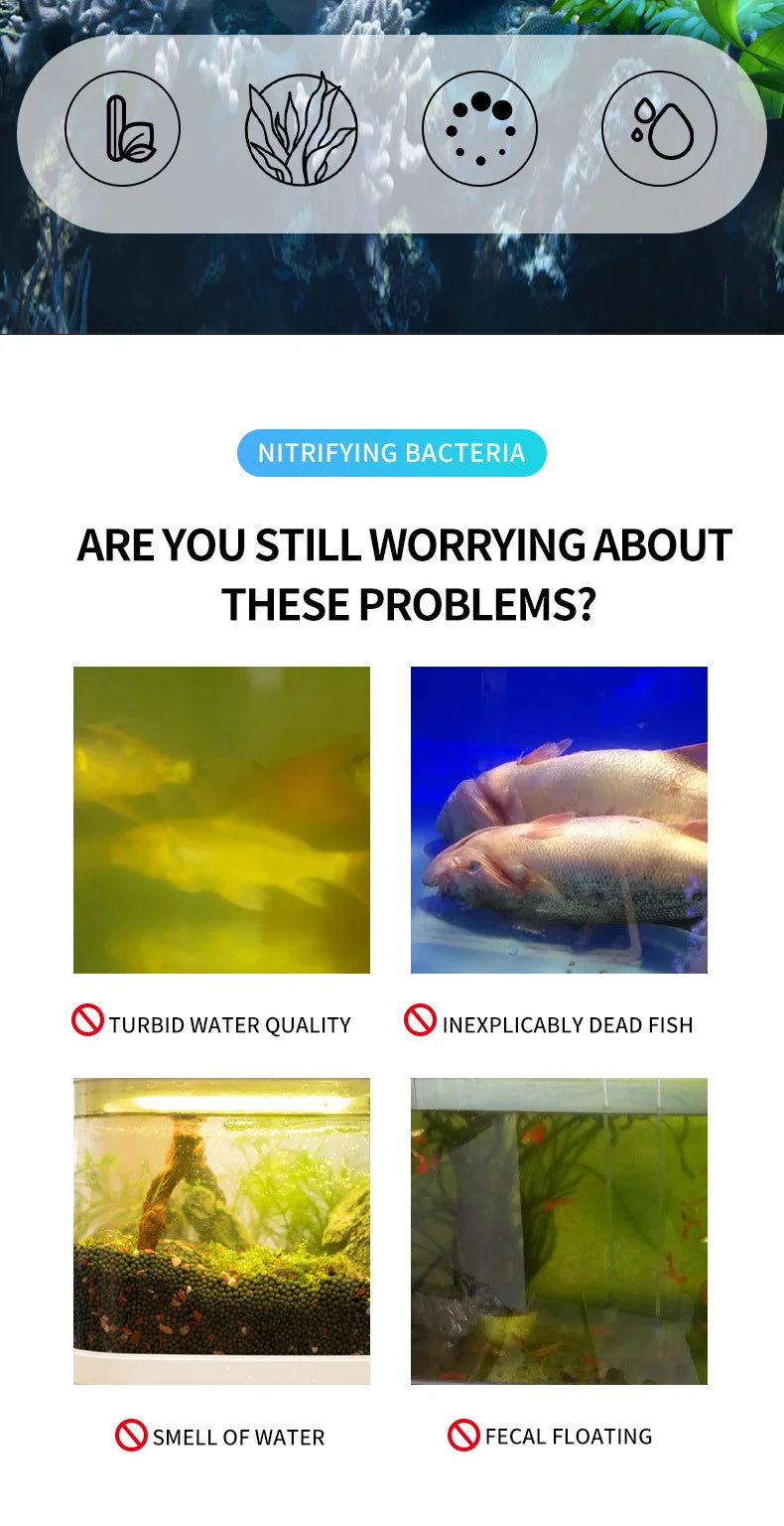 300ml Nitrifying Bacteria Liquid – Fish Tank Water Purifier & Treatment for Aquarium Fish Farming