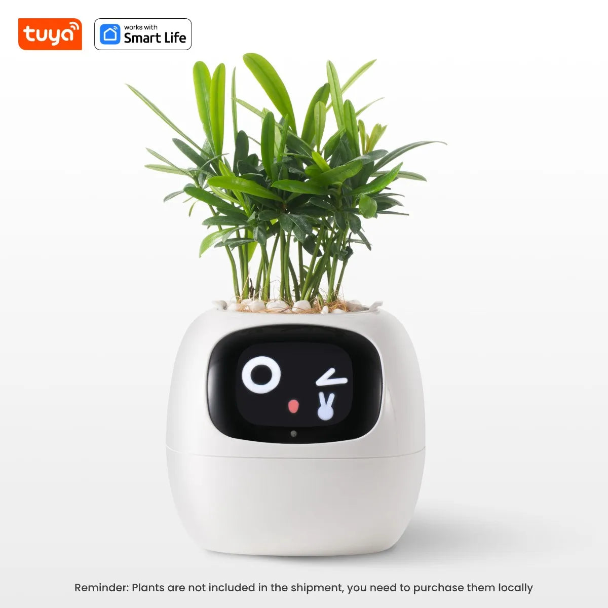 Tuya Ivy Smart Planter with AI Chips and 7 Smart Sensors - Over 49 Expressions for Easy and Fun Plant Care