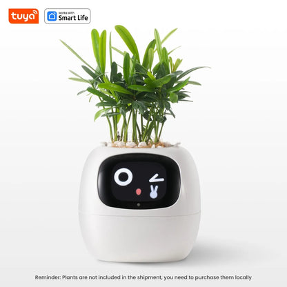 Tuya Ivy Smart Planter with AI Chips and 7 Smart Sensors - Over 49 Expressions for Easy and Fun Plant Care