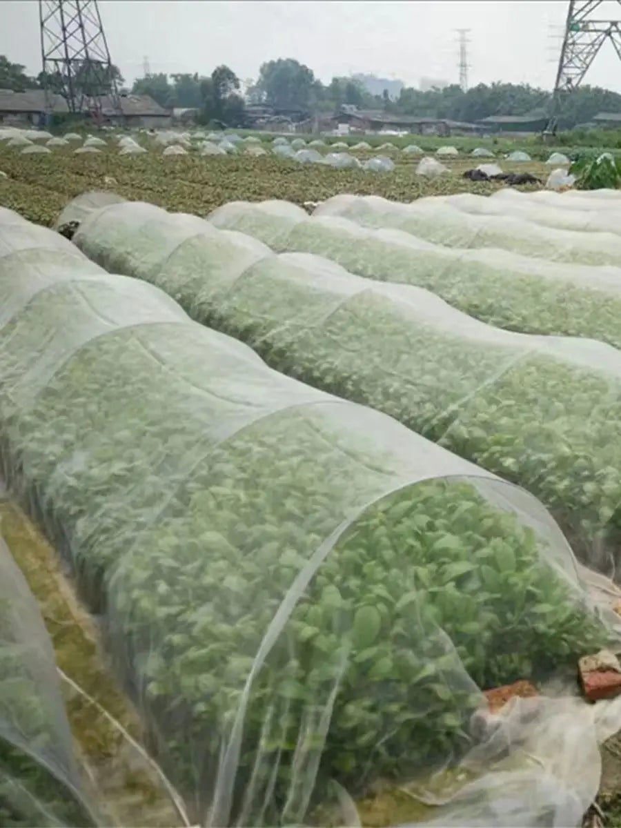 Insect Netting – Heavy Duty Woven Mesh, Heat Resistant Bug Net for Garden, Protect Vegetables, Plants, and Fruit (1PC)