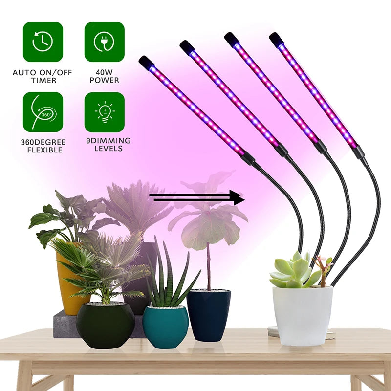 1/2/3/4 Head LED Plant Grow Light — Clip-On Full Spectrum Lamp with USB, Dimmable, Timer & 3-Color Switching for Indoor Plants