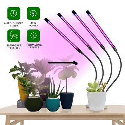 1/2/3/4 Head LED Plant Grow Light — Clip-On Full Spectrum Lamp with USB, Dimmable, Timer & 3-Color Switching for Indoor Plants