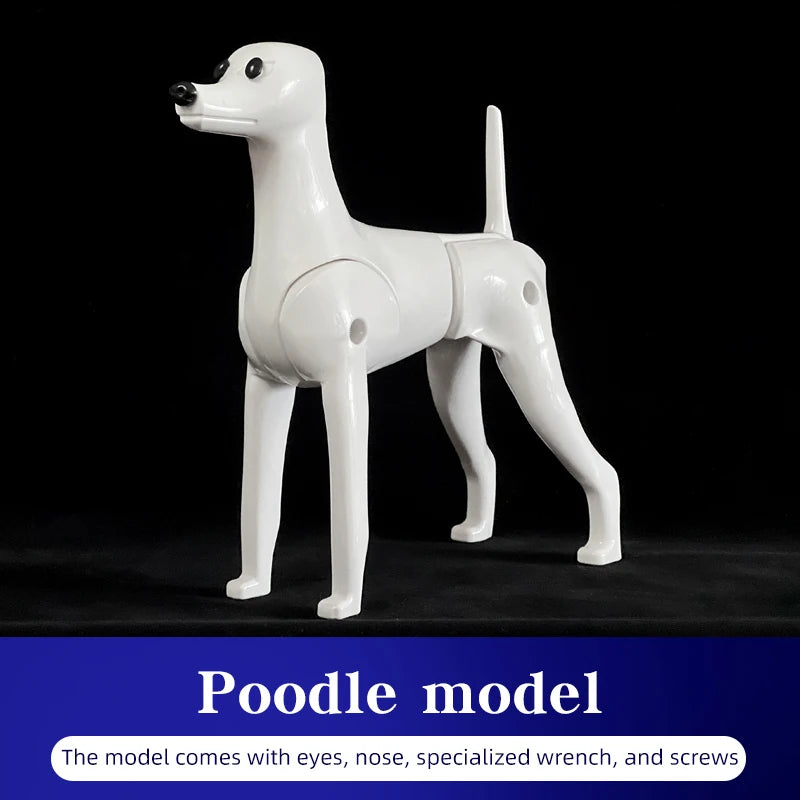 Pet Grooming Practice Poodle Model — Full Body Simulation Dog Mannequin for Grooming Training