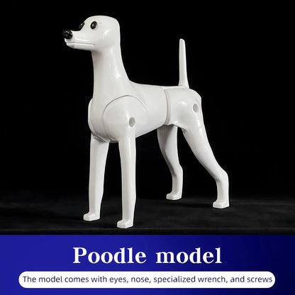 Pet Grooming Practice Poodle Model — Full Body Simulation Dog Mannequin for Grooming Training