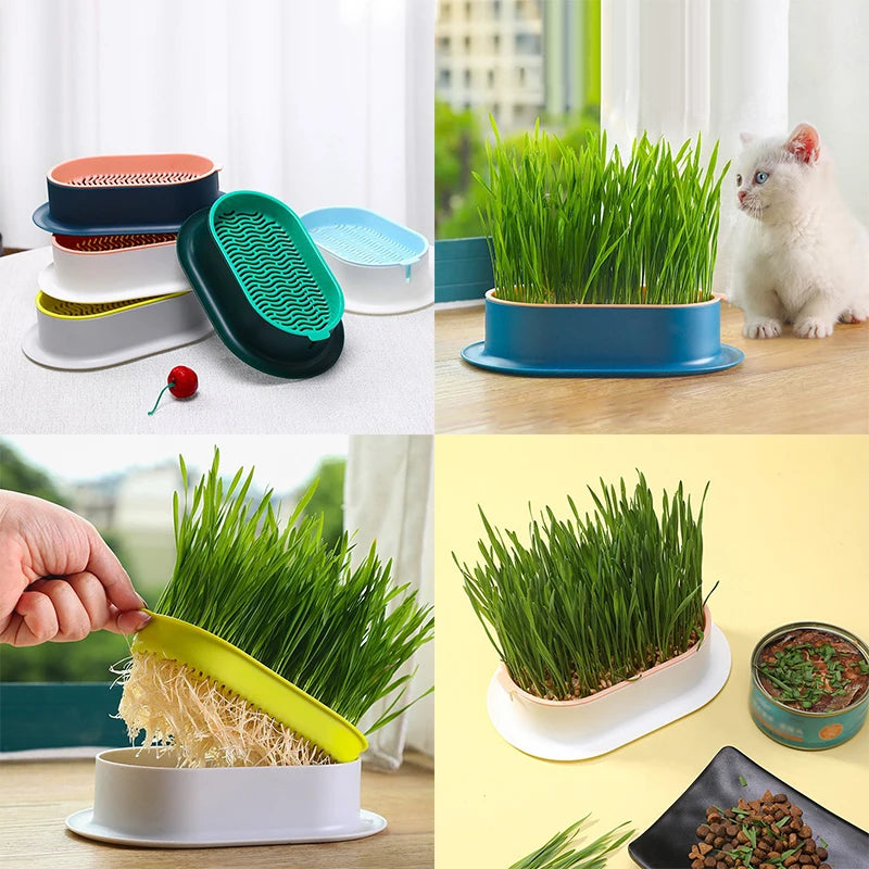 Creative Cat Snack Hydroponic Seedling Tray - Reusable Garden Catnip Growing Pot, Perfect Pet Supply for Feline Enthusiasts