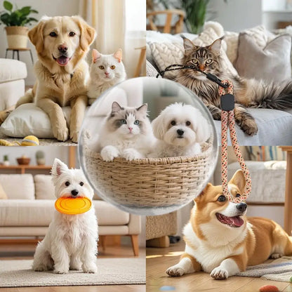 2.7" Video Crystal Ball Lamp – Memory Art Glass Spherical Pixel Display with 4GB Video Player for Wedding and Anniversary