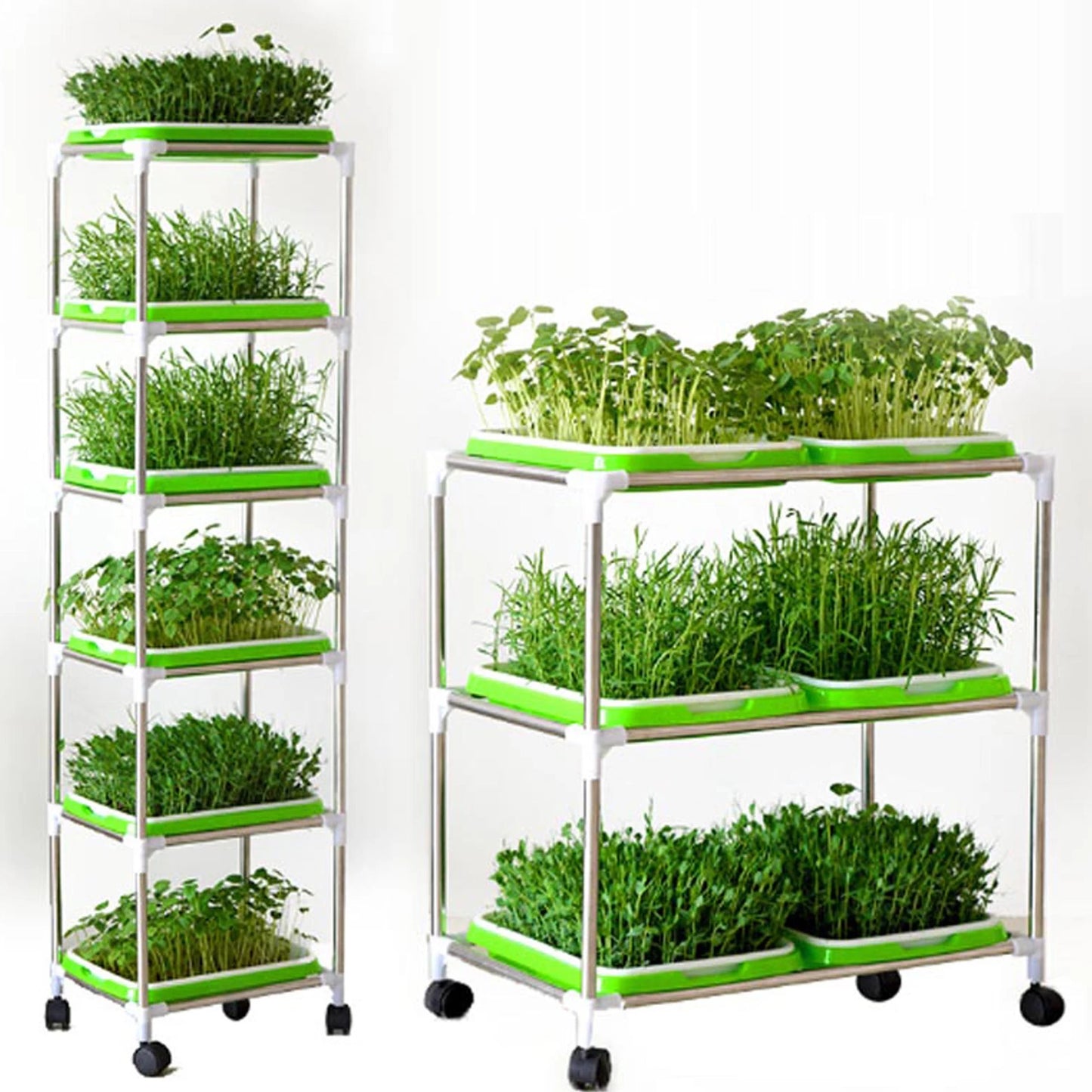 Seed Germination Tray – Seedling & Wheatgrass Planting Tray for Soilless Cultivation