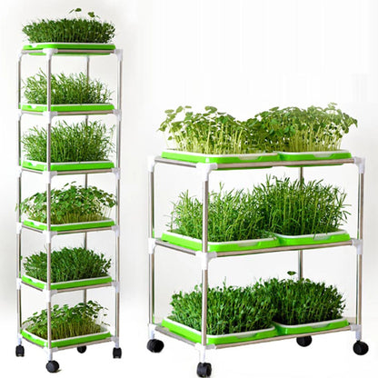 Seed Germination Tray – Seedling & Wheatgrass Planting Tray for Soilless Cultivation