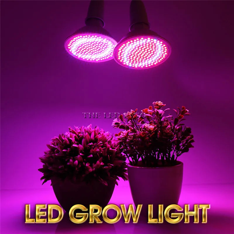 Phyto Lamp Full Spectrum LED Grow Light — E27 Plant Lamp for Indoor Seedlings, Flowers & Grow Tent Box