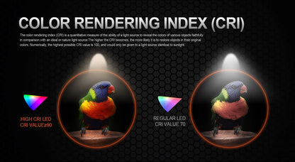 ACEBEAM Pokelit AA EDC Flashlight - 1000 Lumens, CRI90, USB-C Rechargeable, IP68 Waterproof Small Pocket LED for Everyday Carry