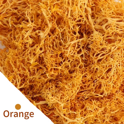 48640854851891|48640854884659|48640855048499