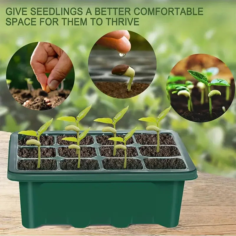 Green Seedling Pot — Multifunctional Planting & Transplanting Box for Gardening and Seedling Care