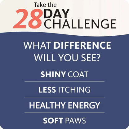 200ml Salmon Fish Oil for Pets – Natural Omega-3 Nutritional Supplement for Dogs & Cats