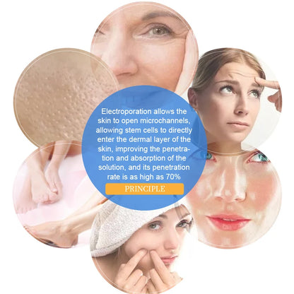 2024 NEW Dcool Portable Cool + Hot + EMS Facial Electroporation Machine – Skin Tightening, Anti-Puffiness Beauty Device