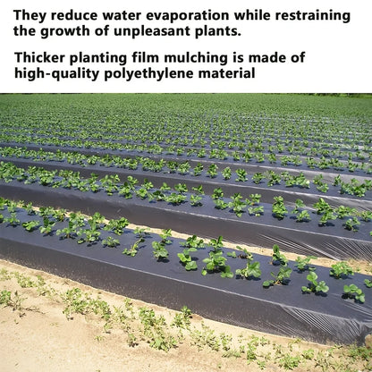 Black Plastic Mulch Film — High-Quality Vegetable Growing Film for Greenhouses & Plant Protection