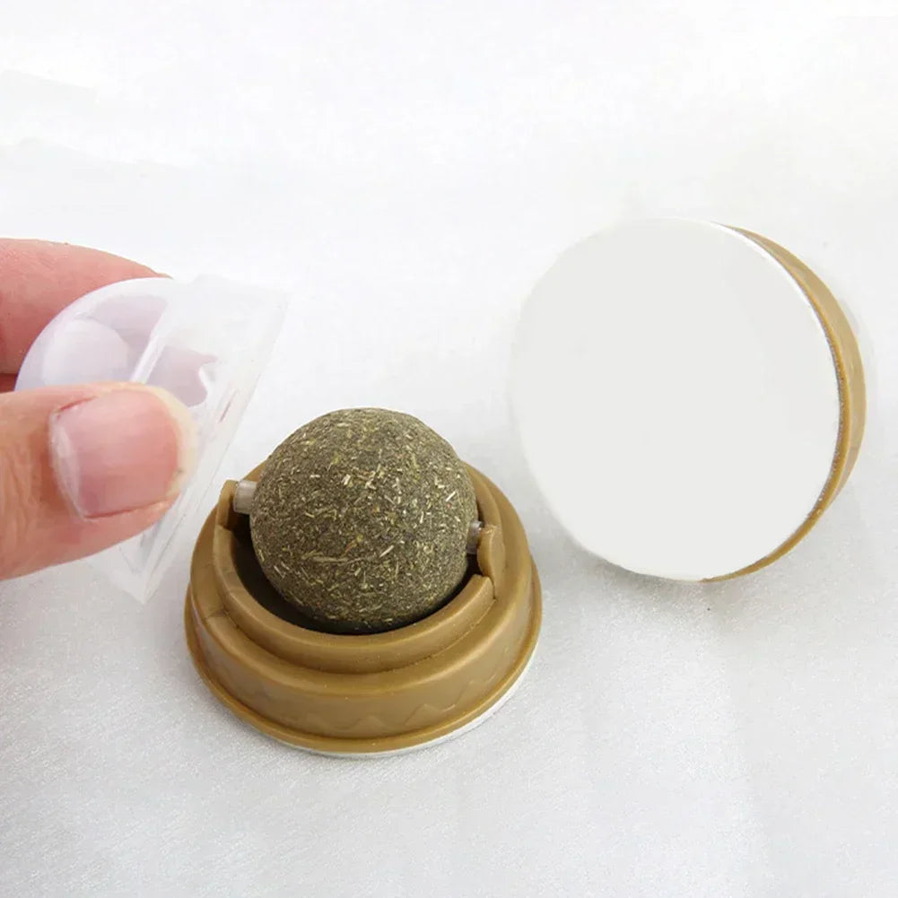 Pet Catnip Toys – Edible Catnip Balls for Healthy Teeth and Stomach, 1-10 Pack, Safe and Fun Chasing Game for Cats