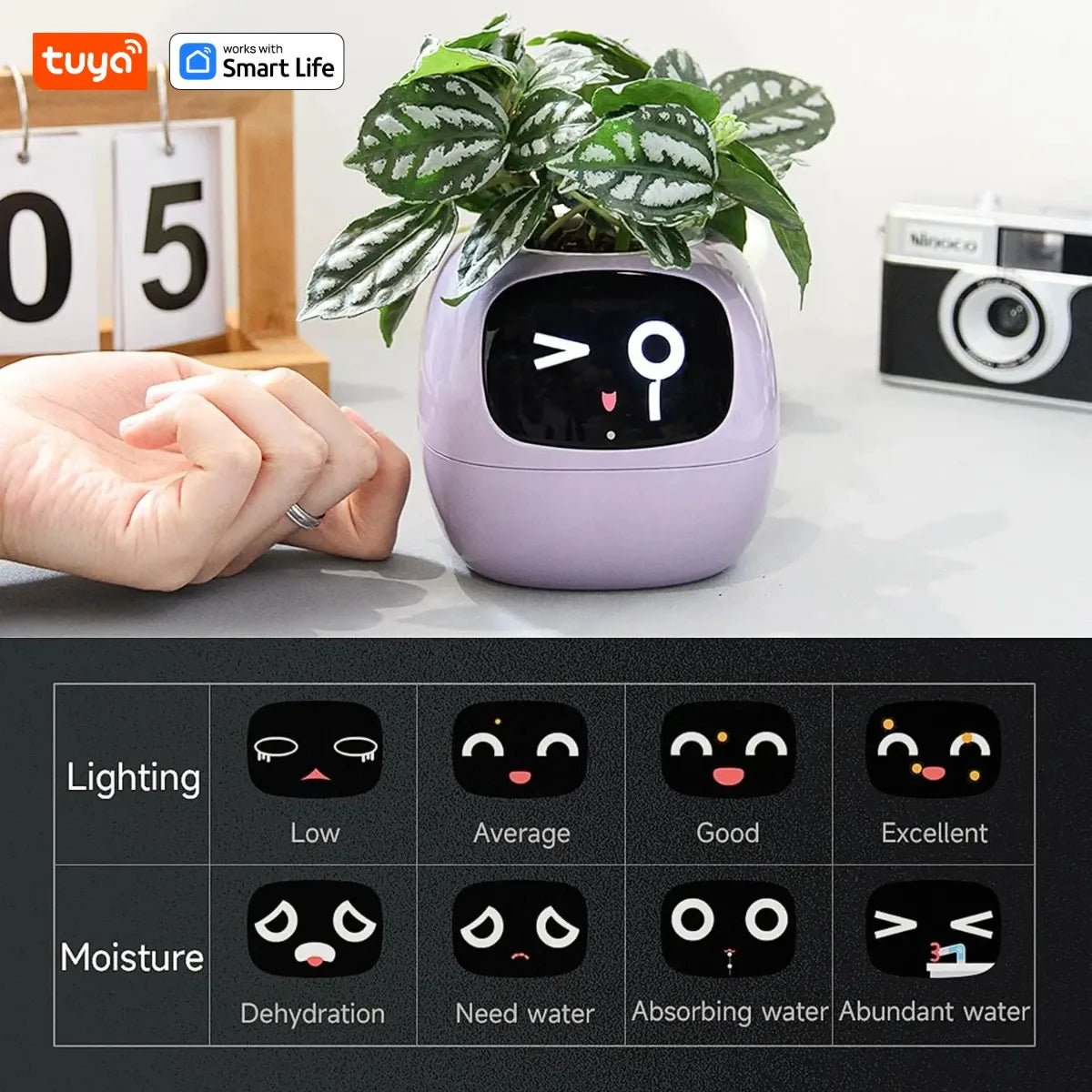 Tuya Ivy Smart Planter with AI Chips and 7 Smart Sensors - Over 49 Expressions for Easy and Fun Plant Care
