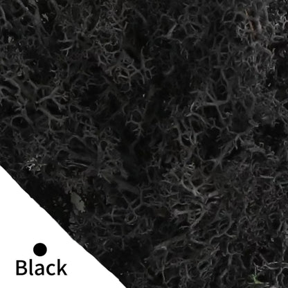 48640856162611|48640856293683|48640856326451