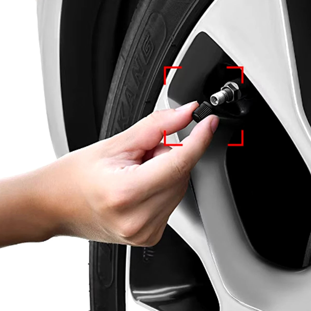 10/20/50/100PCS Universal Tire Valve Stem Caps – Dustproof Rim Covers for Motorcycle, Bicycle & Car