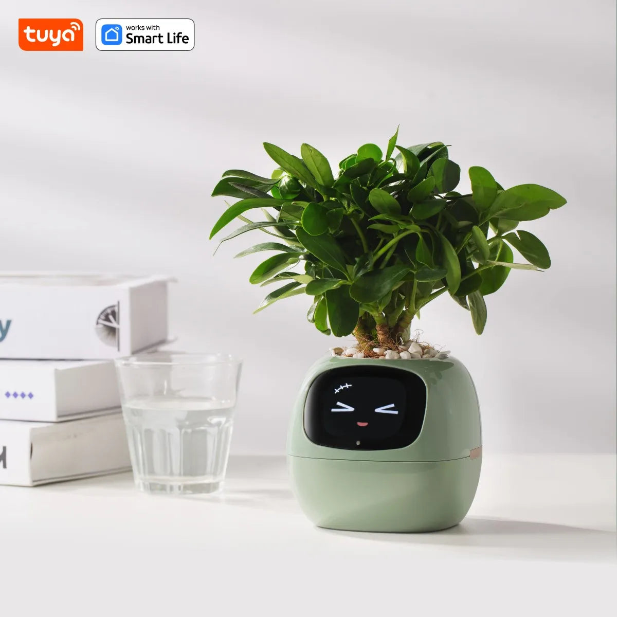 Tuya Ivy Smart Planter with AI Chips and 7 Smart Sensors - Over 49 Expressions for Easy and Fun Plant Care
