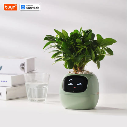 Tuya Ivy Smart Planter with AI Chips and 7 Smart Sensors - Over 49 Expressions for Easy and Fun Plant Care