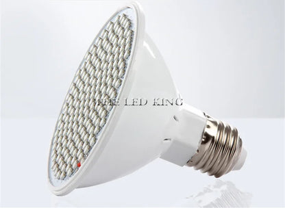 Phyto Lamp Full Spectrum LED Grow Light — E27 Plant Lamp for Indoor Seedlings, Flowers & Grow Tent Box