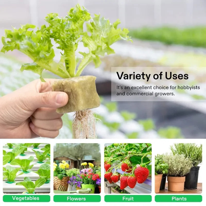 Sponge Block Starter Plugs — Rockwool Grow Cubes for Seedlings, Hydroponics & Plant Propagation