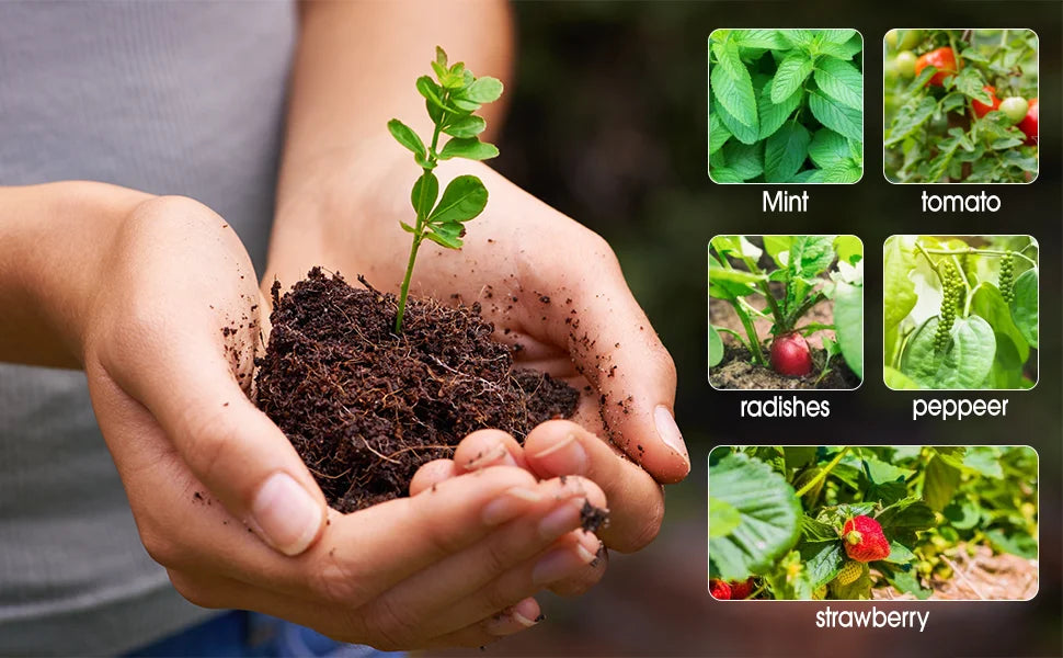 2-Pack 80-Cell Seed Germination Tray Set — High-Dome Seed Starter Kit with 4 LED Grow Lights & Intelligent Timer