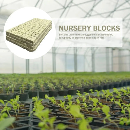 50pcs 25x25x25mm Stonewool Hydroponic Grow Cubes — Rockwool Seedling Blocks for Soilless Plant Cultivation