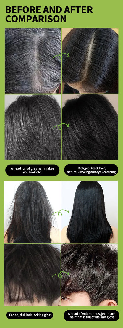 Rosemary Black Hair Dye Shampoo 500ml – DIY Herbal Gray-to-Black Coloring for Women & Men